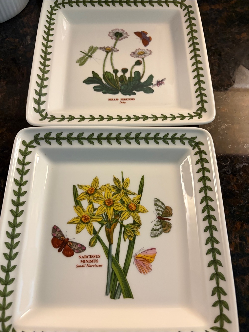 NWT Portmeirion Botanic garden 7” square salad plate Daisy /Narcissus set of 2.